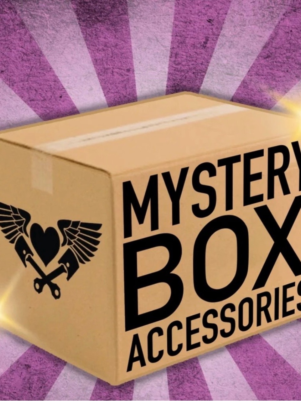 Mystery Box Accessories - Surprise Women's Accessories (Purple Accents)